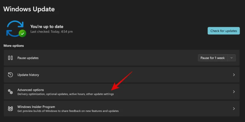 Windows 11에서 업데이트를 제거하는 방법: 단계별 가이드 및 문제 해결 팁