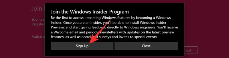 Windows 11 내부자 빌드를 다운로드하는 방법