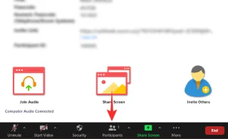 ¿Por qué no puedo cambiar mi nombre en Zoom? Cómo solucionar el problema