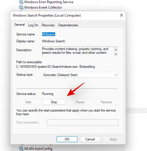 Windows 11에서 검색하는 방법: 알아야 할 모든 것
