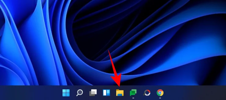 Windows 11: 6가지 방법으로 쉽게 파일 확장명 표시