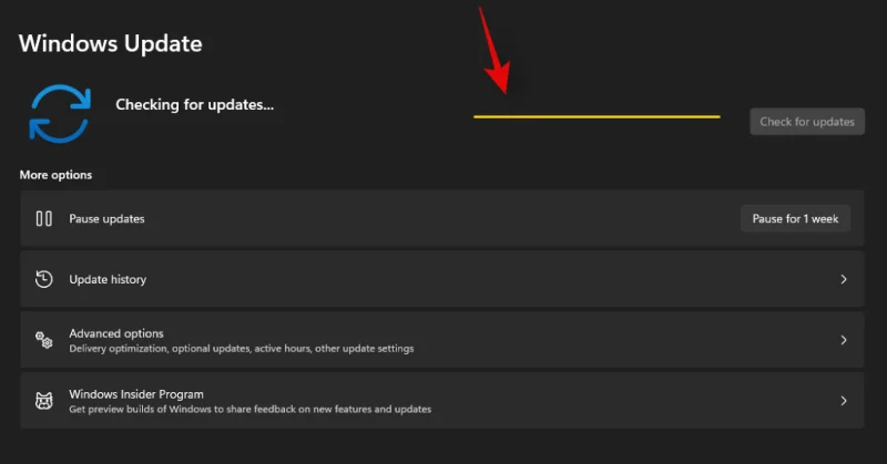 Windows 11에서 초점 지원을 사용하는 방법