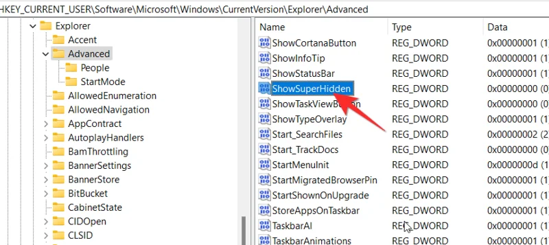 Windows 11에서 숨겨진 파일을 표시하는 방법
