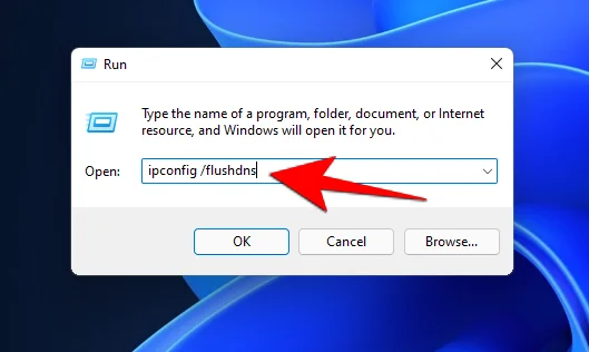 Windows 11에서 DNS를 플러시하는 방법