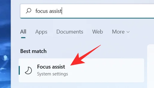 Windows 11에서 초점 지원을 사용하는 방법