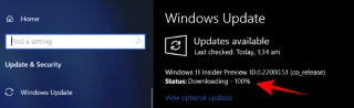 Windows 11 Kurulumu %100de mi Takıldı? Nasıl düzeltilir