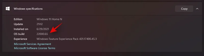 Windows 11 버전 확인 방법
