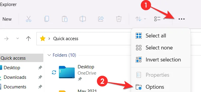 Windows 11에서 숨겨진 파일을 표시하는 방법