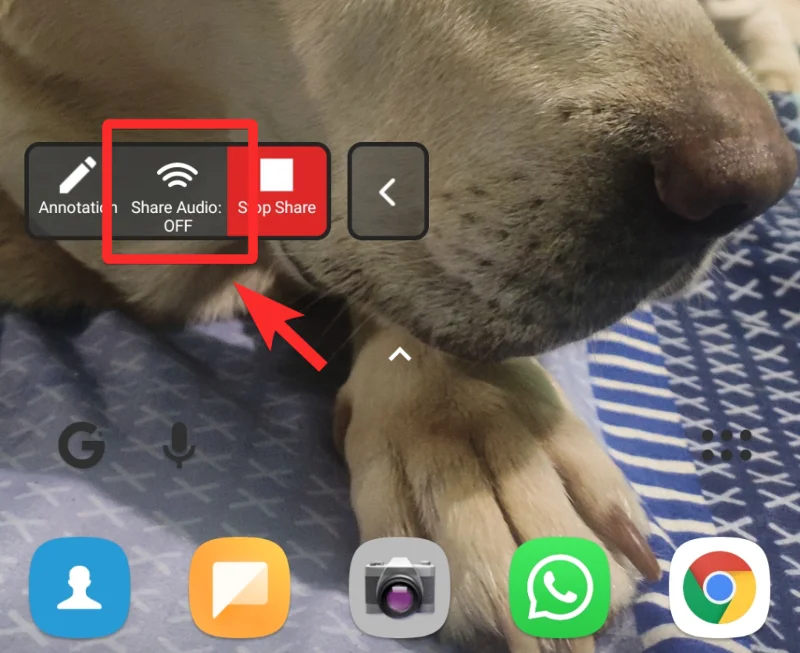 วิธีแชร์เสียงของอุปกรณ์บน Zoom บนคอมพิวเตอร์ Android และ iPhone
