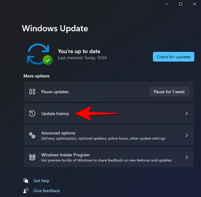 Windows 11 BSOD(죽음의 검은 화면)를 수정하는 방법