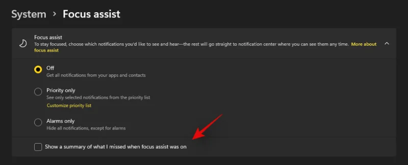 Windows 11에서 초점 지원을 사용하는 방법