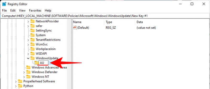 Windows 11에서 업데이트를 비활성화하는 방법